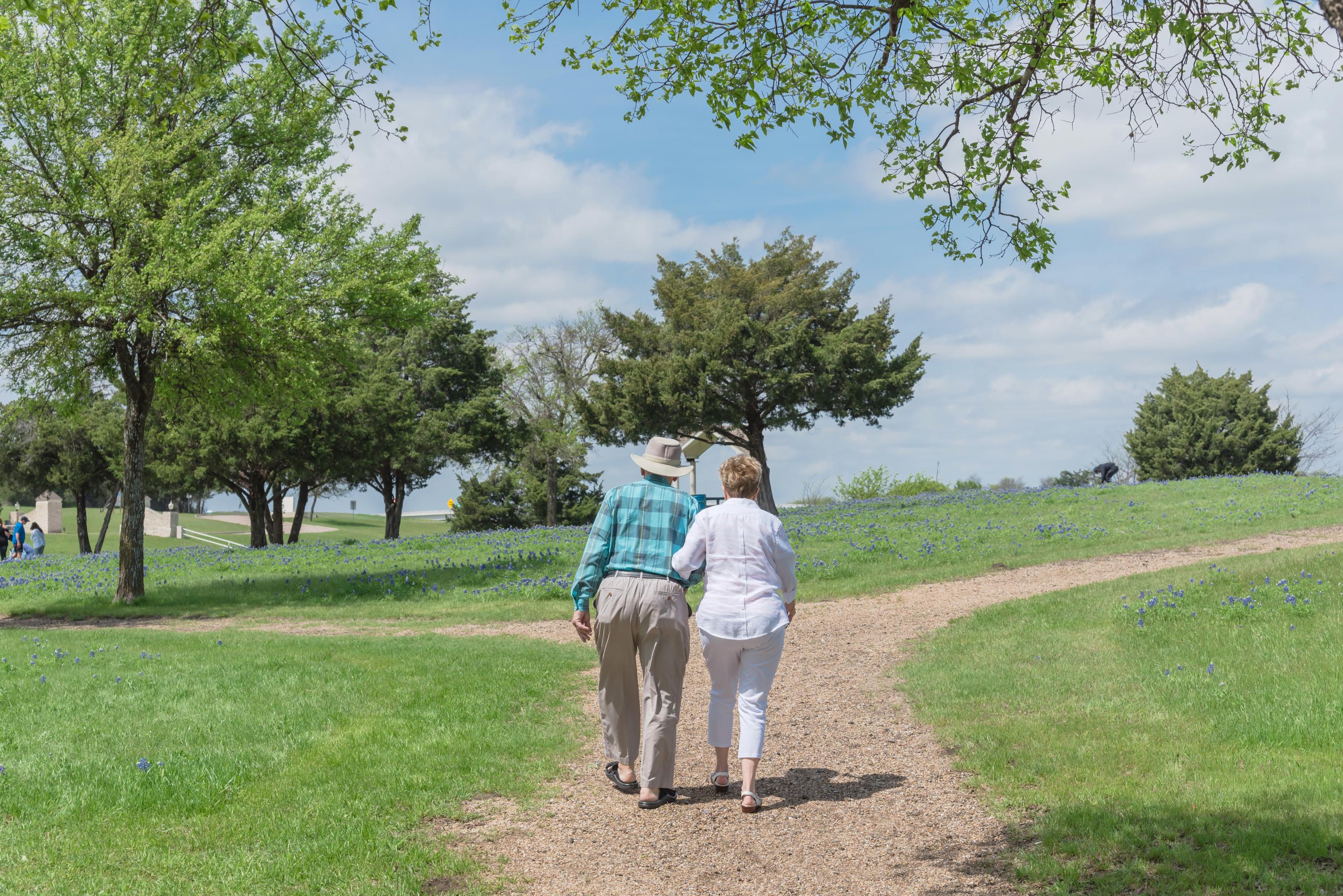 Elderly Walking